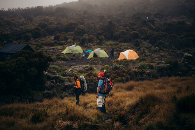 Climbing Kilimanjaro through 7 days Machame Route - Why the Machame Route earns its Whiskey Route name