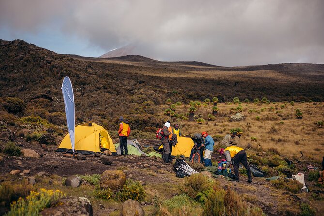 Climbing Kilimanjaro through 7 days Machame Route - Day 3: Across the southern slopes toward Lava Tower