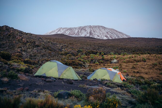 Climbing Kilimanjaro through 7 days Machame Route - Day 2: Shira Camp and the first high views