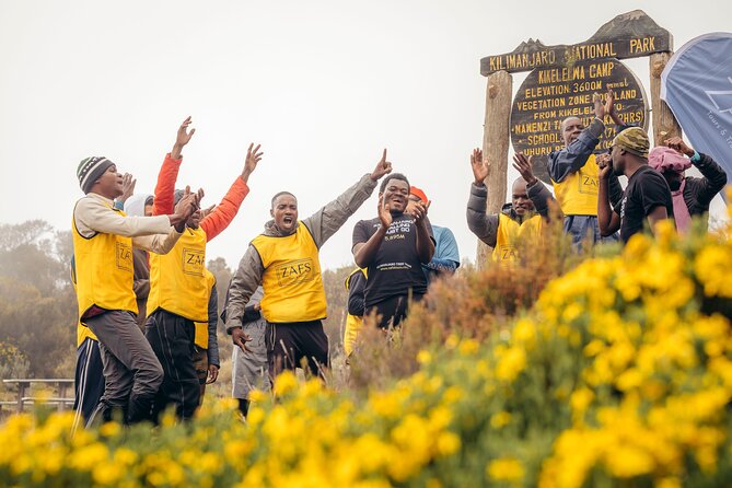 Climbing Kilimanjaro through 8 days Lemosho Route - Why the 8-day Lemosho Route Makes Sense