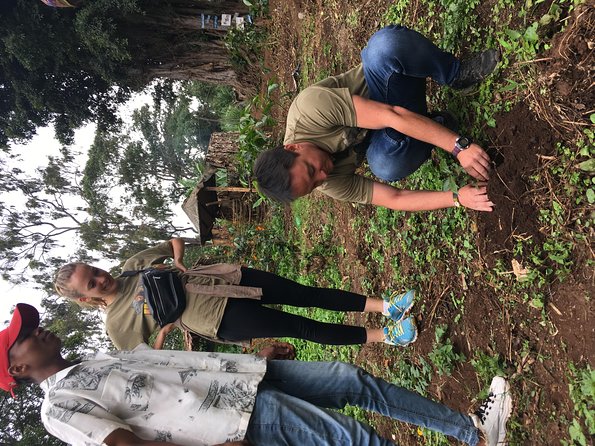 Coffee tour and Buffet Lunch with Kingstone Asilia (Arusha) - The traditional processing work