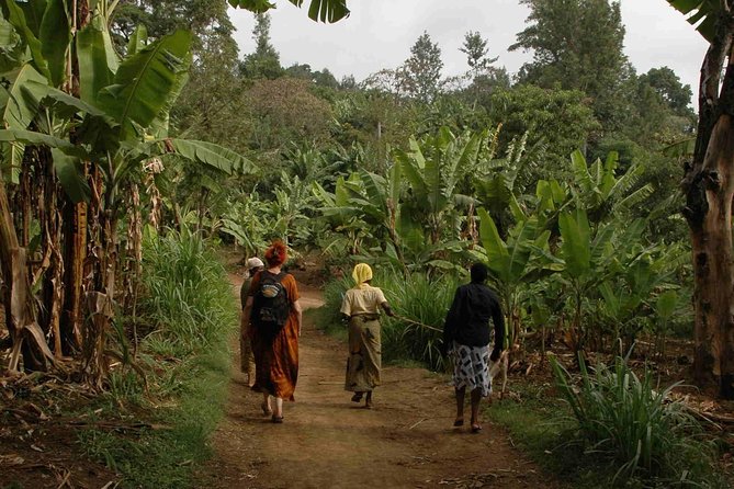 Coffee walk with stay in the village - Is $270 per person good value?