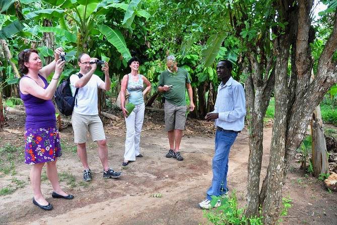 Come and taste the Zanzibar feelings - Is $56.42 per person good value?
