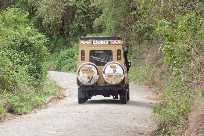 Common 5 Days Tanzania Serengeti Big 5 Private Safari | BURIGI CHATO SAFARIS - Day 5: A full day inside Ngorongoro Crater