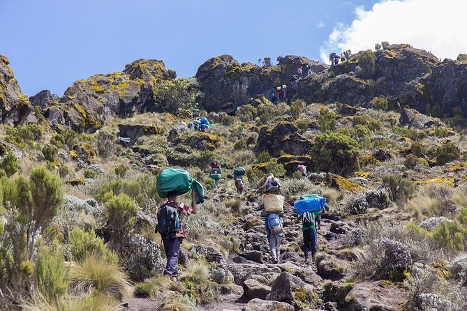 Conquer Kilimanjaro: 5-Day Marangu Route Adventure - Day 2: Horombo Huts and the first big change in scenery