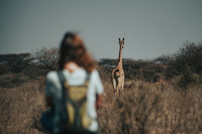 Cycling from Kilimanjaro to Ngorongoro Crater - Day two follows an elephant migration route