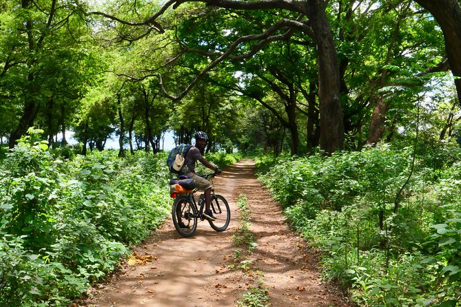 Cycling through the TPC plantations - Final call: book it for a slower view of Moshi