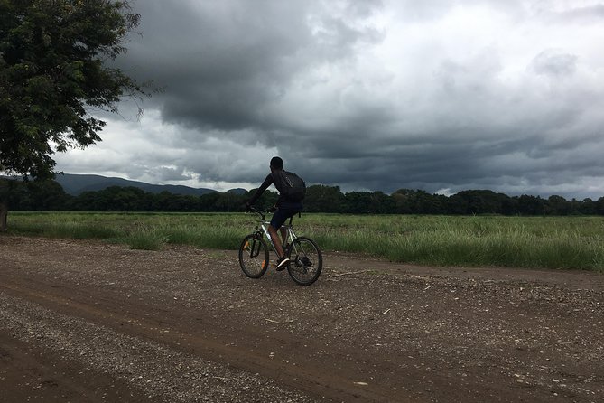 Cycling through the TPC plantations - Pedaling south through the TPC fields