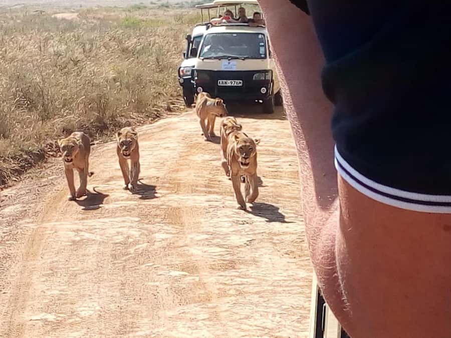 Dar el Salam: Full-Day Mikumi National Park Tour - What the private format is worth