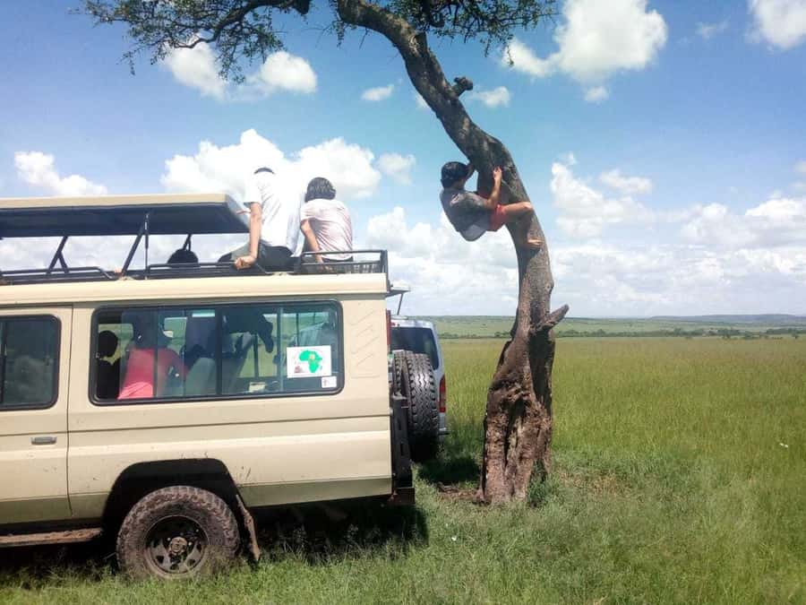 Dar el Salam: Full-Day Mikumi National Park Tour - Cancellation and planning flexibility