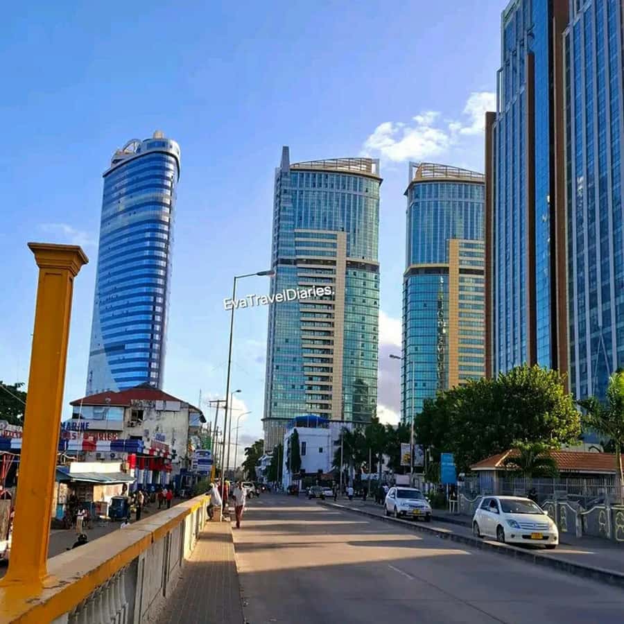 DAR ES SALAAM : 6hr DAR ES SALAAM CITY TOUR WITH PRIVATE CAR - Makumbusho Village Museum and the woodcarving experience