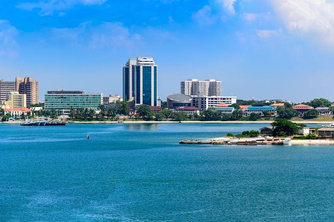Dar Es Salaam City Tour. All Must See Things (Private Guide and car) Full day - Kivukoni Fish Market before the heat