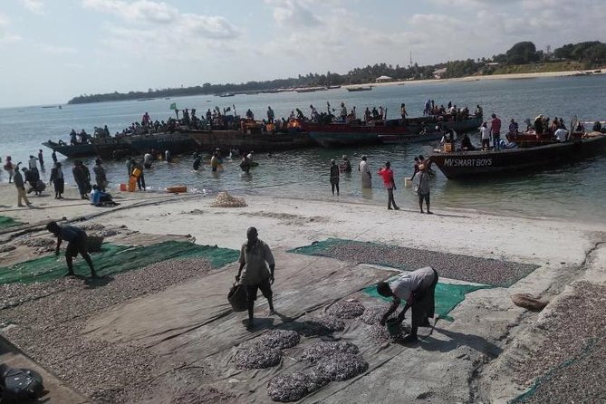 Dar es Salaam City Tour - Everyday - Comfort, timing, and the value of $97