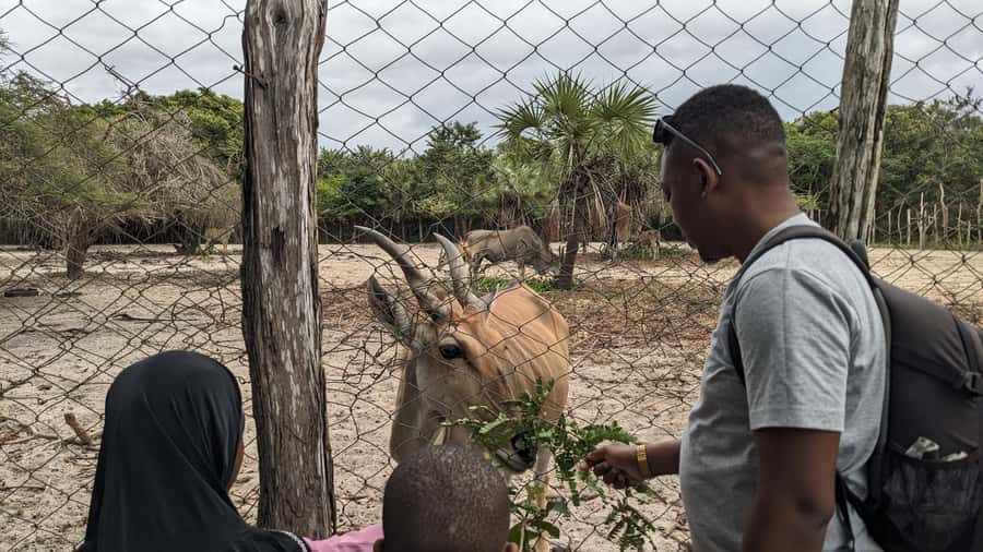 Dar es Salaam: Experience the real Dar es Salaam (City Tour) - Is $99 good value for eight hours?
