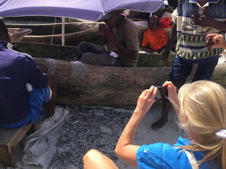 Dar es Salaam: Experience the real Dar es Salaam (City Tour) - Kariakoo and Kivukoni: start with working Dar