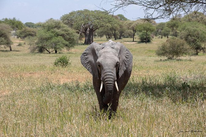 Day 1 Arusha – Lake Manyara National Park - Entering Lake Manyara beside the Great Rift Valley