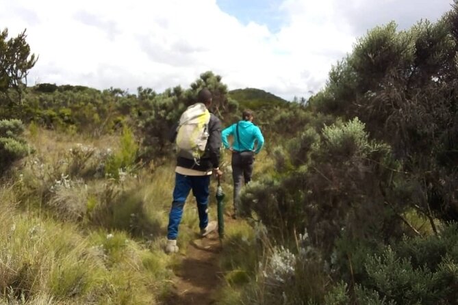 Day Hike to Mount Kilimanjaro, Local experience and Chagga Culture - What this Kilimanjaro day hike really offers