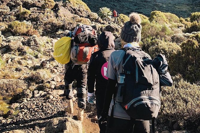 Day Hike to Mount Kilimanjaro (Mandara Hut) - Marangu Gate and the first steps uphill