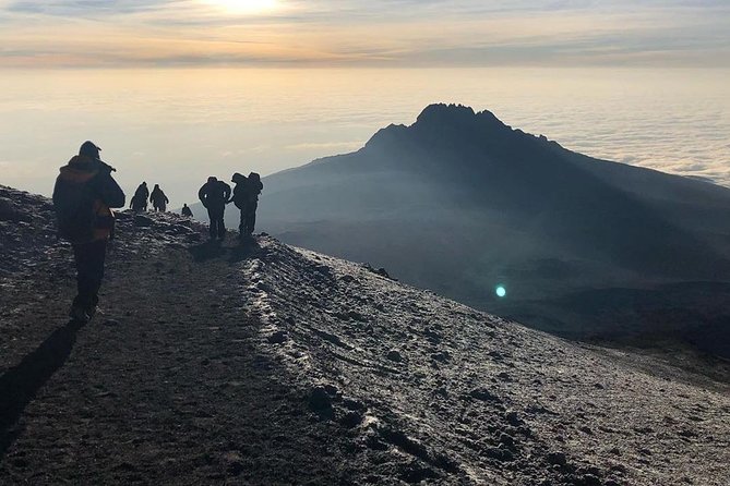 Day Hike to Mount Kilimanjaro (Mandara Hut) - The three-hour walk to Mandara Hut