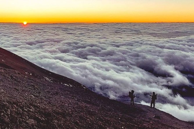 Day Hike to Mount Kilimanjaro (Mandara Hut) - Mandara Hut and the mountain reward