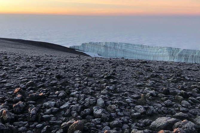 Day Hike to Mount Kilimanjaro (Mandara Hut) - The two-hour descent to Marangu Gate