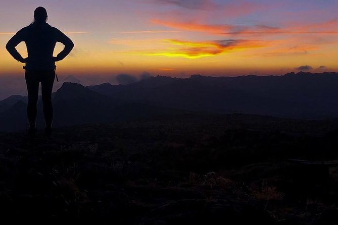 Day Hike to Mount Kilimanjaro (Mandara Hut) - Guides, group size, and the private format