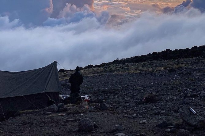Day Hike to Mount Kilimanjaro (Mandara Hut) - Is $342.70 good value for one day?