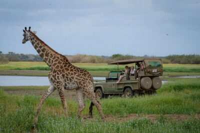 Day Safari Tour Selous Game Reserve