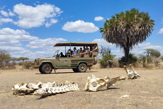 Day Safari Tour Selous Game Reserve - Wildlife chances, with no promises