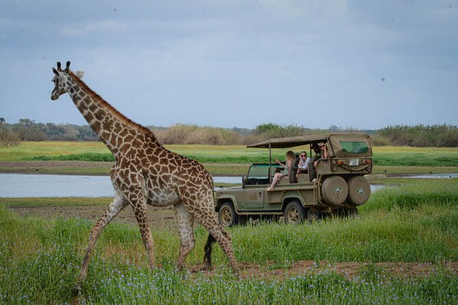 Day Safari Tour Selous Game Reserve - Entering Nyerere National Park at 8:00 AM