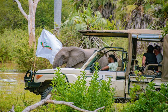 Day Safari Tour to Mikumi National Park - What your day may feel like