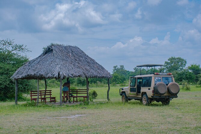 Day Safari tour to Selous Game Reserve from Zanzibar - Small groups, private vehicles, and guide quality