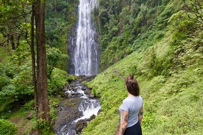 Day Trip Coffee Tour and Materuni Waterfalls - Why Materuni makes a strong Moshi day trip