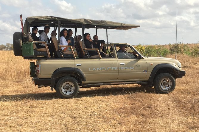 Day Trip From Zanzibar To Mikumi - More than mammals: Mikumi for birdwatchers