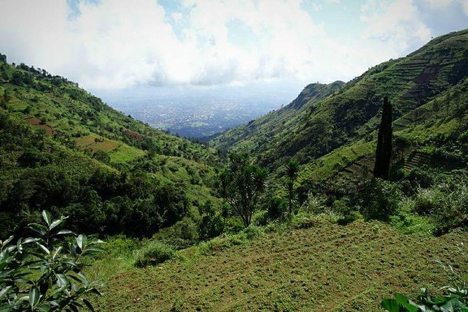 Day trip Hiking to Uluguru Mountains-Choma Waterfalls - Key points to know before you book