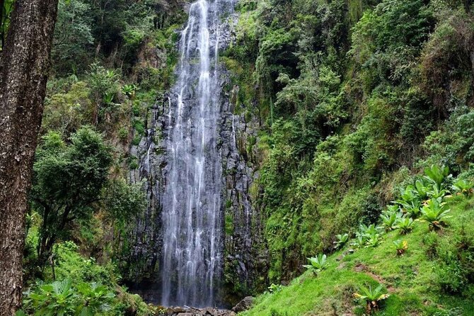 Day trip Materuni watsrfalls and chemka hotsprings tour - Key points at a glance