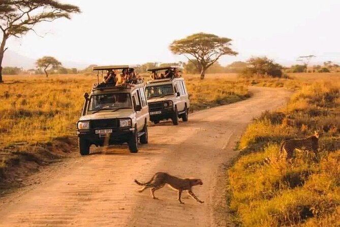 Day trip Safari to Mikumi National Park - Lunch in the bush and the second drive