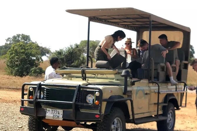 Day trip Safari to Mikumi National Park - Returning through the airstrip to Zanzibar