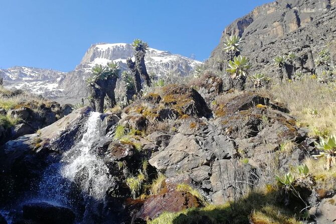 Day Trip to Kilimanjaro National Park - The early drive from Arusha or Moshi