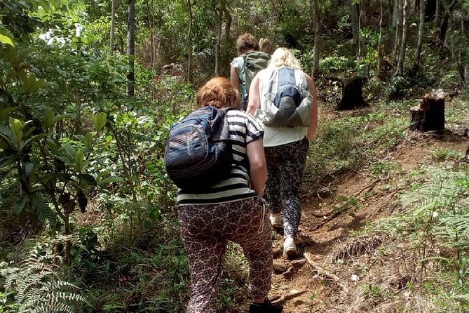 Day Trip To Lupanga Peak - Who should choose this hike?