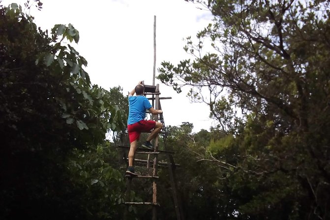 Day Trip To Lupanga Peak - The trail through the Uluguru forest