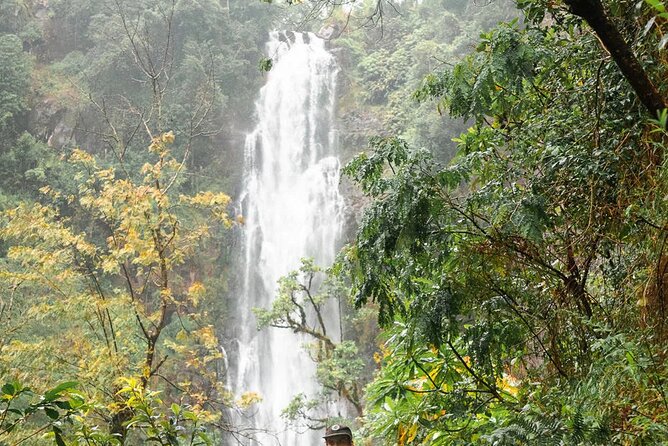 Day trip to Materuni waterfall, Coffee tour and Moshi Nightlife - Timing, pickup, and practical planning