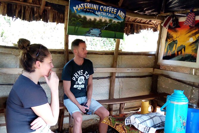 Day Trip To Materuni Waterfalls - What the guide adds to the day