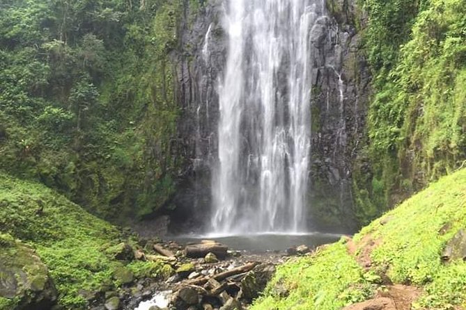 Day trip to materuni waterfalls and coffee tour - Starting at Eddo’s Burger Points in central Moshi