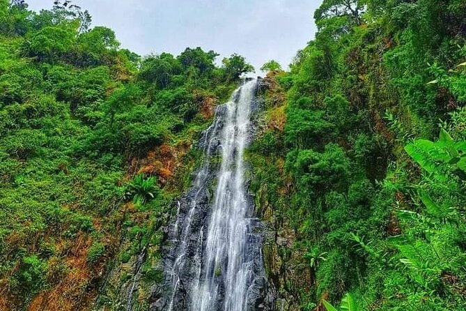Day trip to materuni waterfalls and coffee tour - Reaching Materuni Waterfall