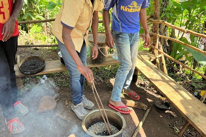 Day trip to materuni waterfalls and coffee tour - Learning how Chagga coffee is grown and made