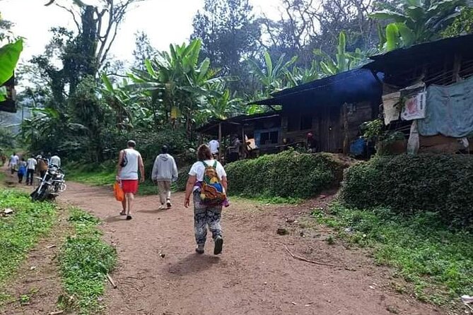 Day trip to materuni waterfalls and coffee tour - Who will enjoy this private Materuni experience