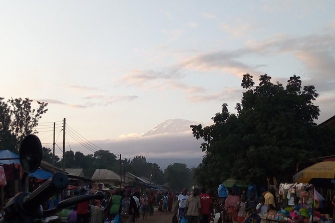 Day trip to materuni waterfalls and coffee tour - Walking through Materuni village and coffee country