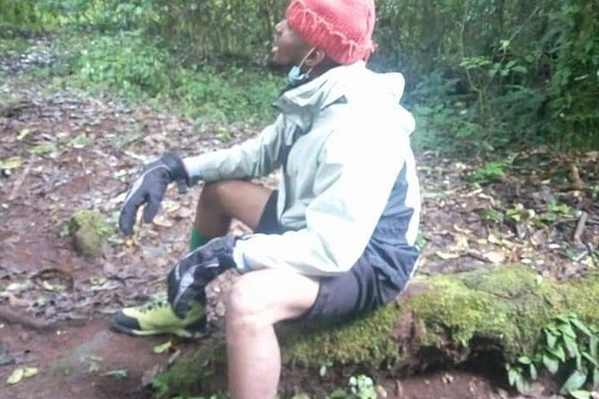 Day trip to mount Kilimanjaro - The guide makes the forest more than a trail