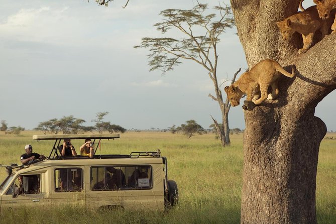 Day Trip to Ngorongoro Crater - Why Ngorongoro Crater works well as a one-day safari